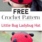 How to Crochet a Little Bug Ladybug Hat