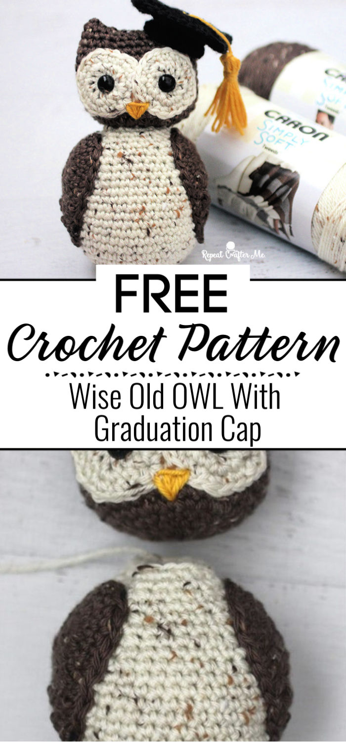 Crochet Wise Old OWL With Graduation Cap
